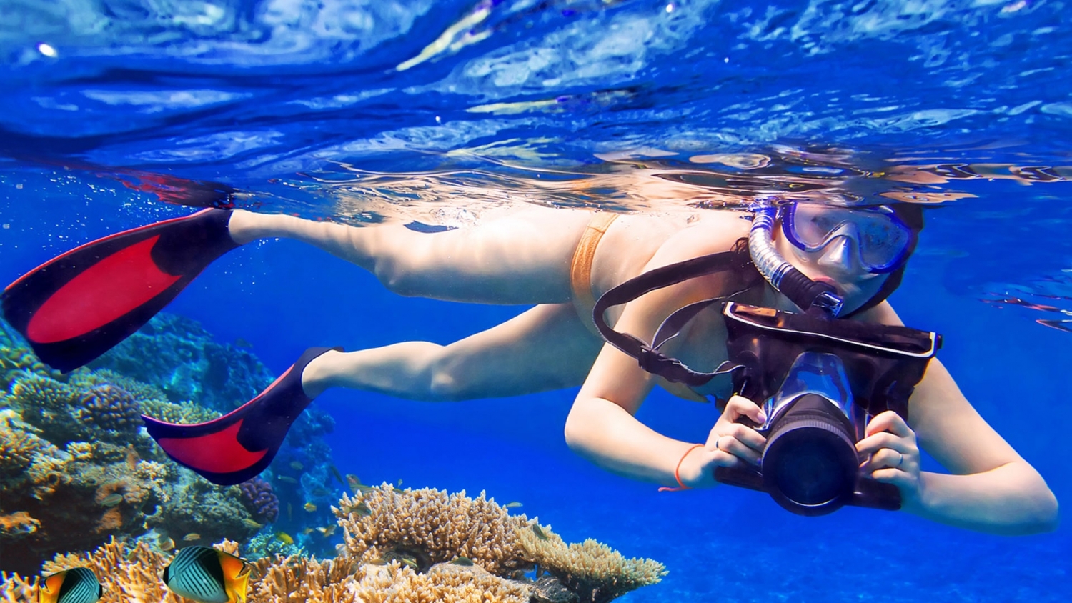 Apnea Photo And Video Protec International Professional Technical And Recreational Diving